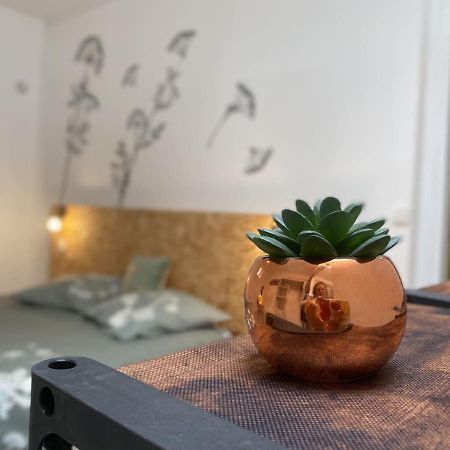 La Maison D'Angelique - Colocation Hoteliere A 150M Gare Tgv- Grande Cuisine Equipee & Salon - Fibre - Netflix Niort Buitenkant foto