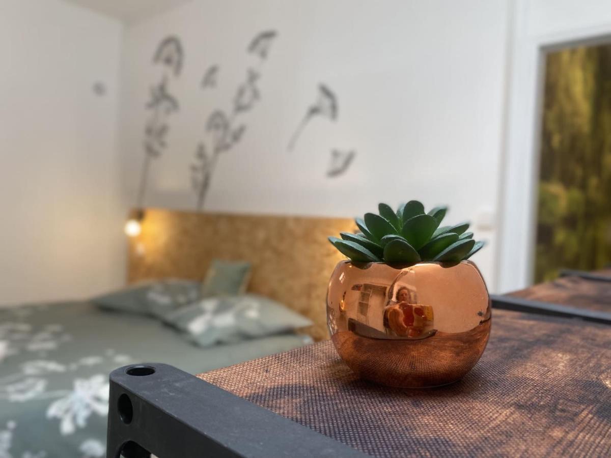 La Maison D'Angelique - Colocation Hoteliere A 150M Gare Tgv- Grande Cuisine Equipee & Salon - Fibre - Netflix Niort Buitenkant foto